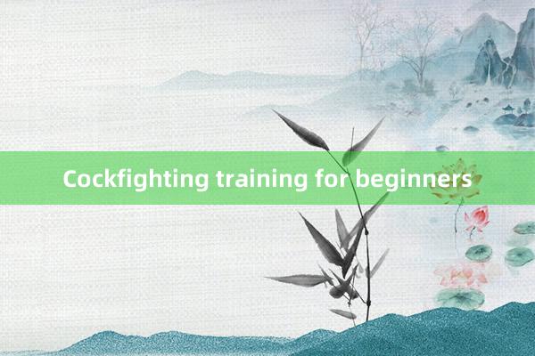 Cockfighting training for beginners