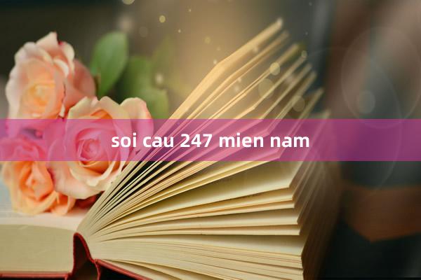 soi cau 247 mien nam