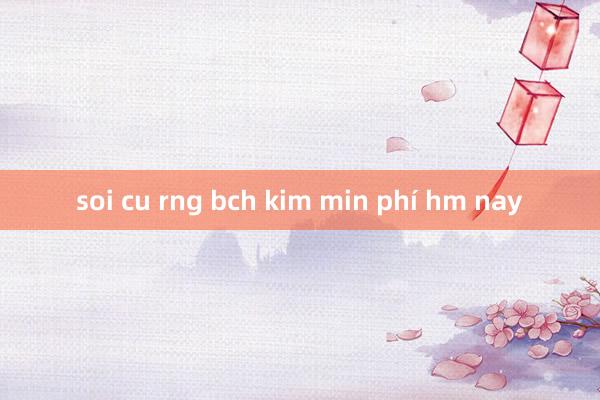 soi cu rng bch kim min phí hm nay