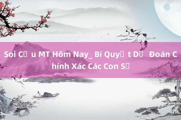 Soi Cầu MT Hôm Nay_ Bí Quyết Dự Đoán Chính Xác Các Con Số