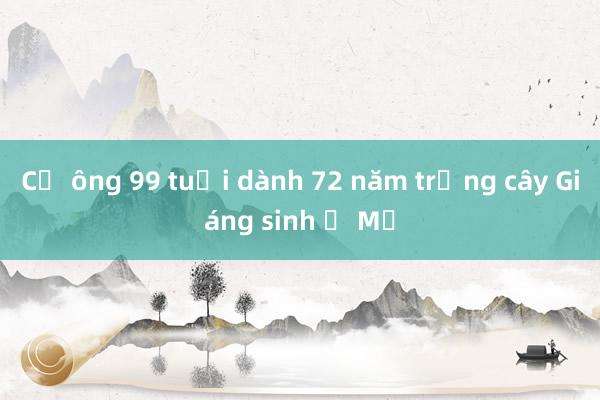 Cụ ông 99 tuổi dành 72 năm trồng cây Giáng sinh ở Mỹ