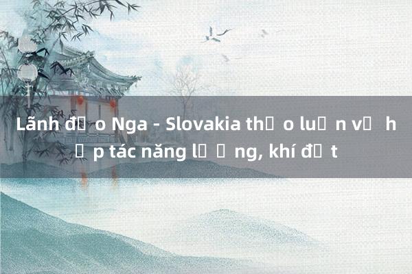 Lãnh đạo Nga - Slovakia thảo luận về hợp tác năng lượng， khí đốt