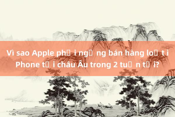 Vì sao Apple phải ngừng bán hàng loạt iPhone tại châu Âu trong 2 tuần tới?