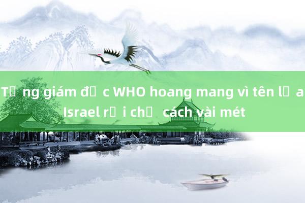 Tổng giám đốc WHO hoang mang vì tên lửa Israel rơi chỉ cách vài mét